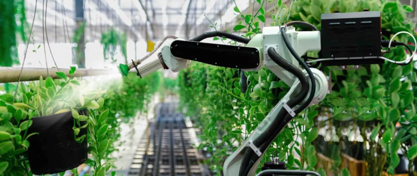 A robotic arm spraying along a row of plants in a greenhouse